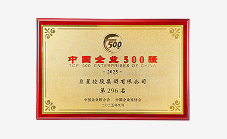 中国企业500强